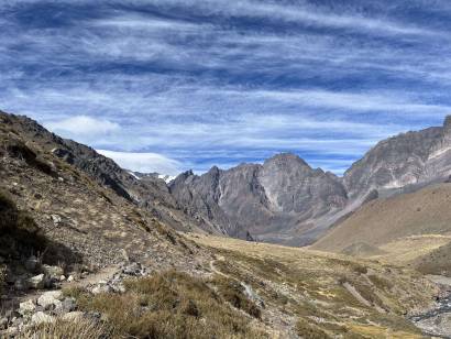 Fundación Flora Nativa Chilena